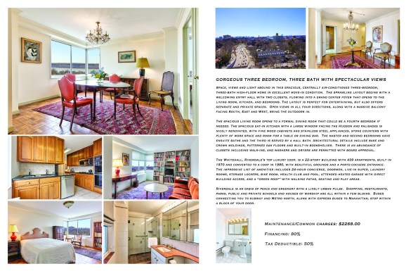 11'' x 17'' Bi-Fold (Front)